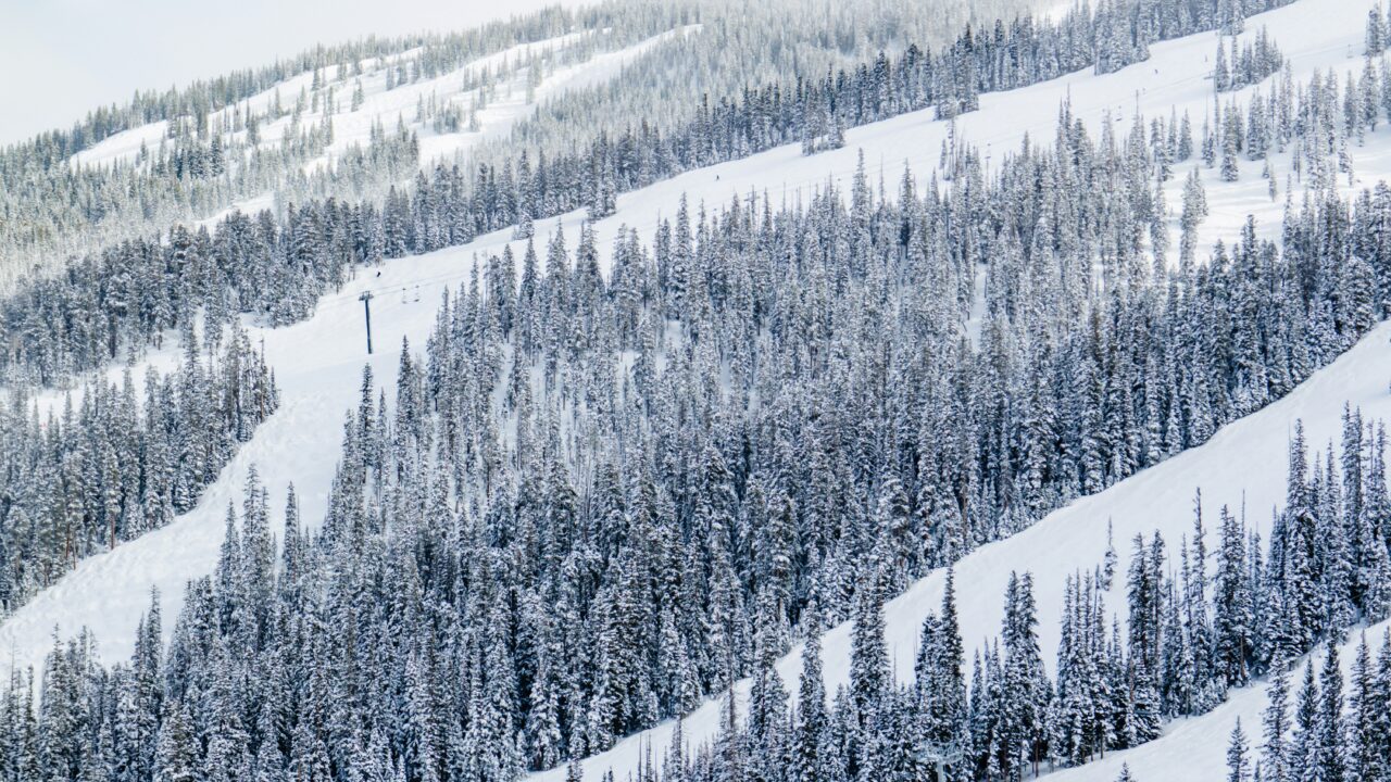 snowy trees in aspen colorado with ski runs